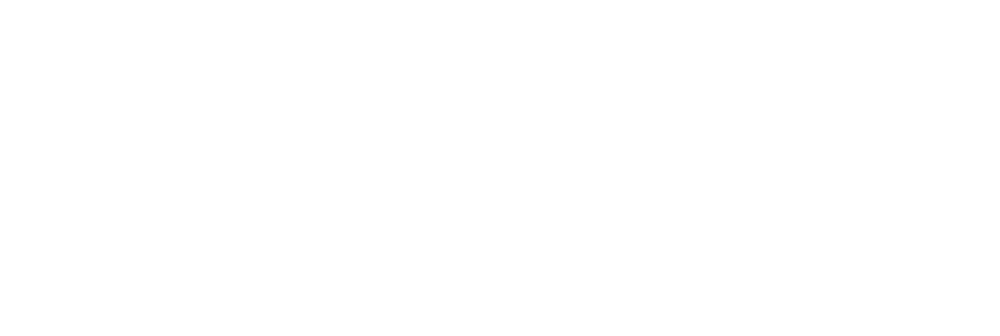 FCI Consulting Export