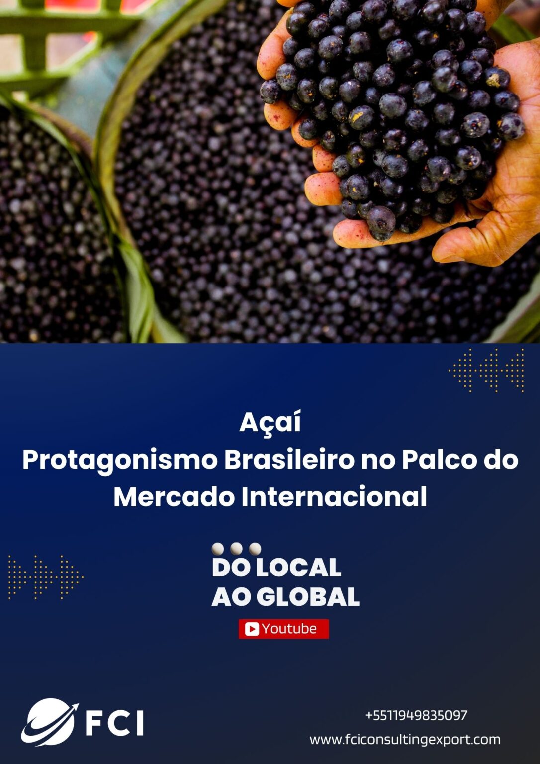 Açaí importação